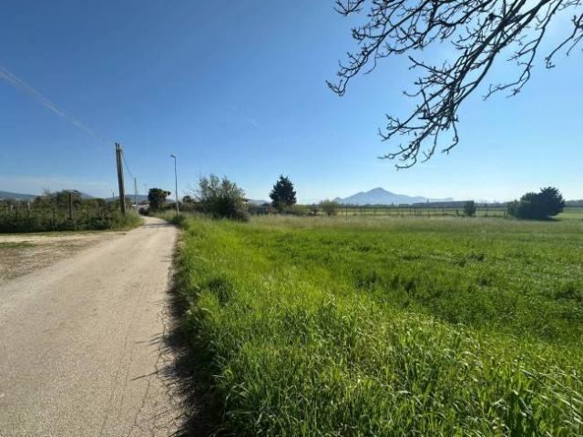 Terreno in vendita a Capua, Campania