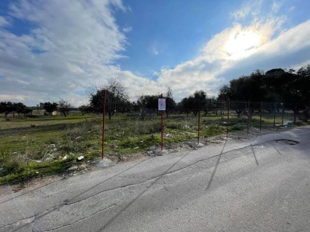 Terreno in vendita a Puglia, Bari