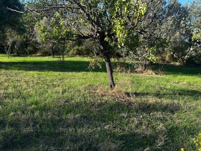Terreno in vendita a Calabria, Reggio Calabria
