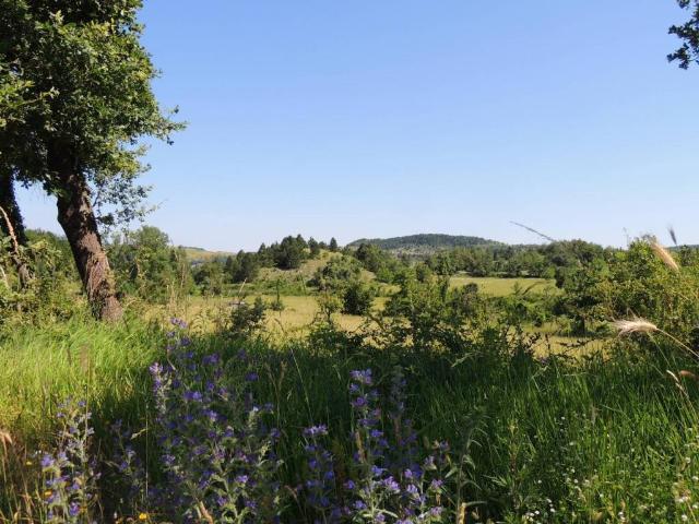 Terreno in vendita a Caramanico Terme, Abruzzo