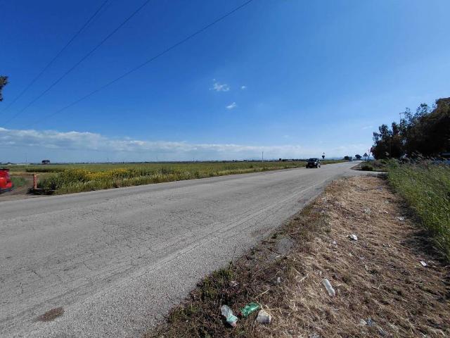 Terreno in vendita a Puglia, Foggia