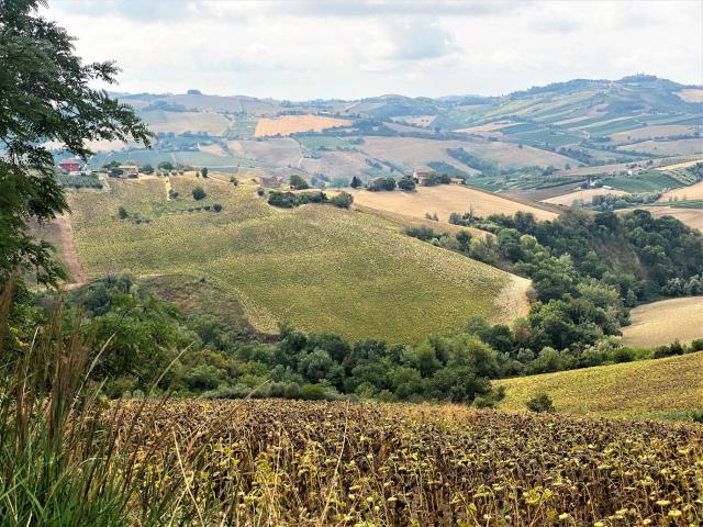 Terreno in vendita a Marche, Ascoli Piceno