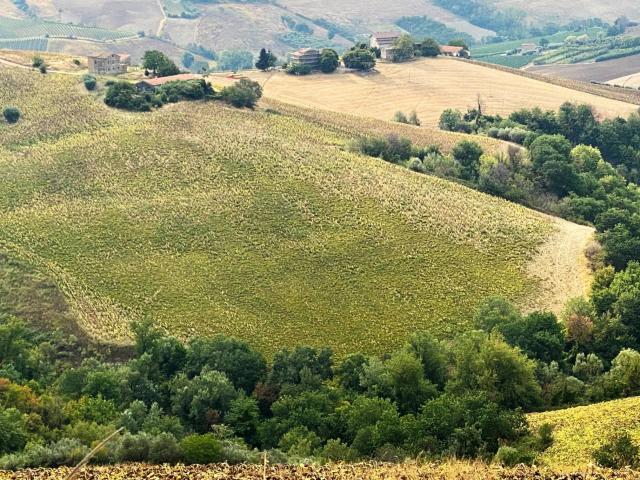 Terreno in vendita a Marche, Ascoli Piceno