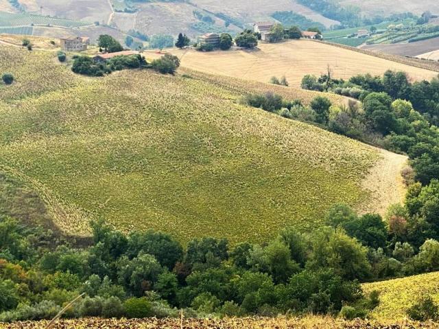 Terreno in vendita a Marche, Ascoli Piceno