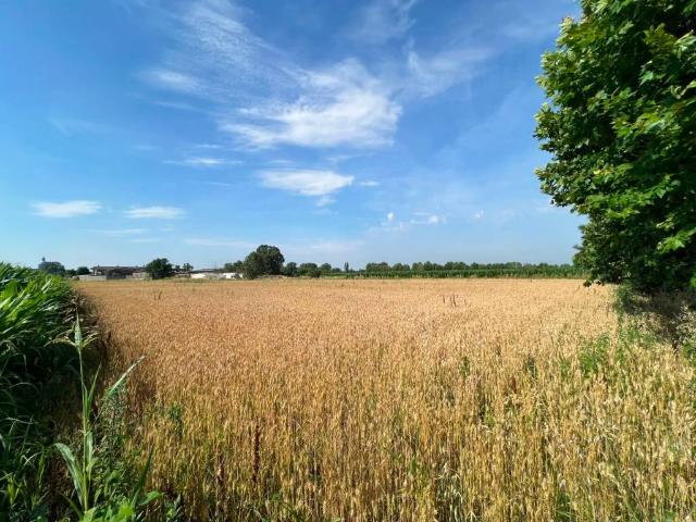 Terreno in vendita a Caravaggio, Lombardia