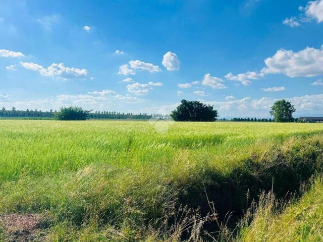 Terreno in vendita a Caravaggio, Lombardia