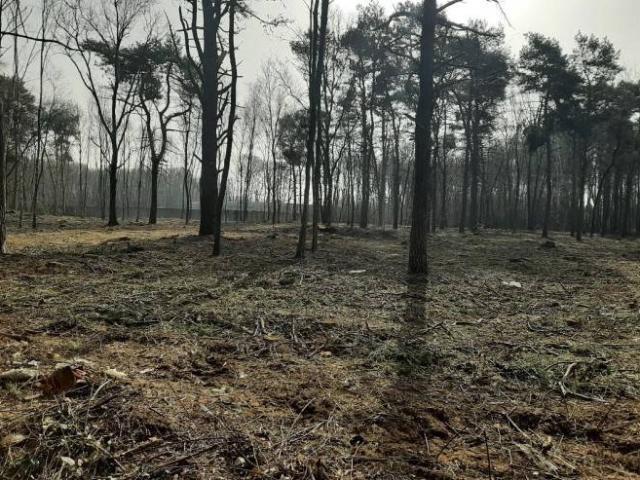 Terreno in vendita a Cuoricino, Cardano al Campo