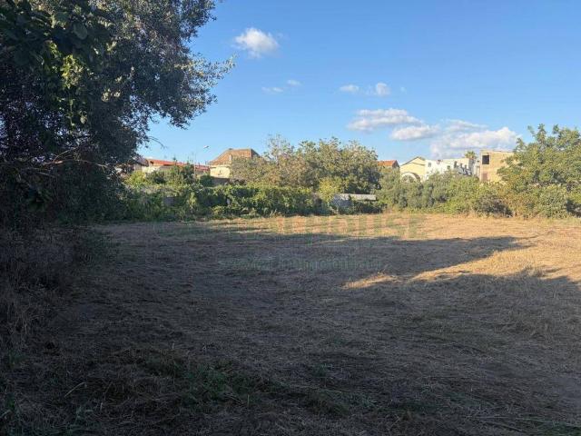 Terreno in vendita a Località Case Sparse, Cardito