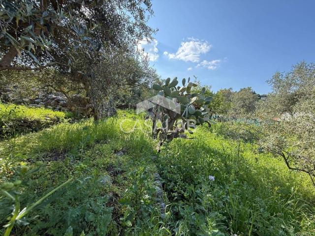 Terreno in vendita a Carini, Sicilia