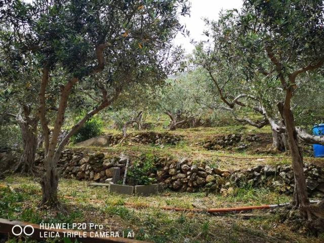 Terreno in vendita a Carini, Sicilia