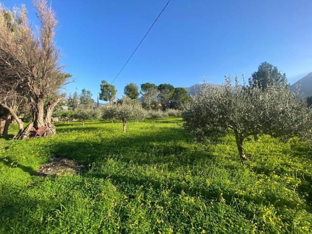 Terreno in vendita a Carini, Sicilia