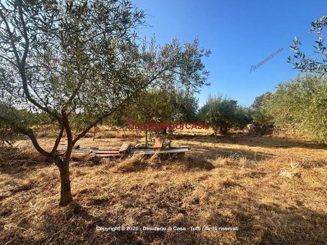 Terreno in vendita a Carini, Sicilia