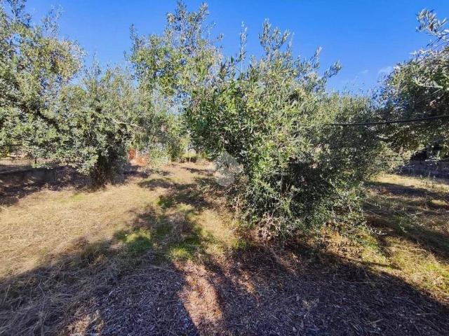 Terreno in vendita a Carini, Sicilia