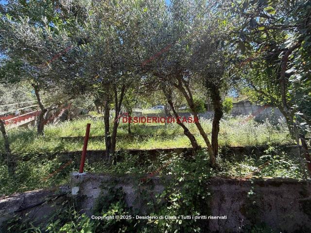 Terreno in vendita a Carini, Sicilia