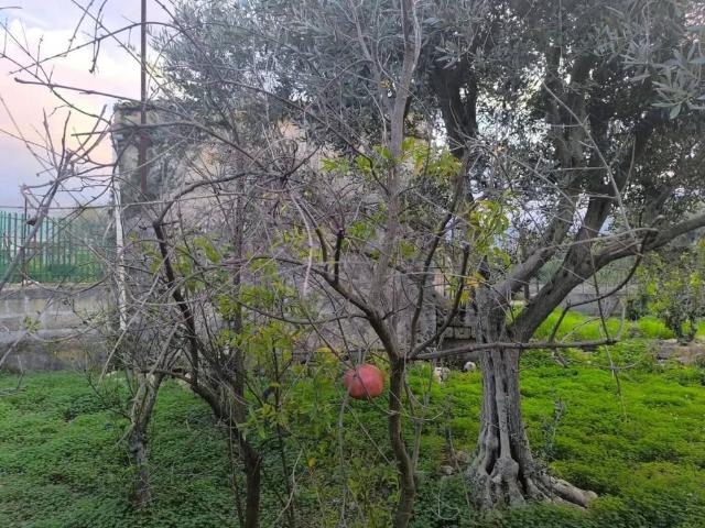 Terreno in vendita a Carini, Sicilia