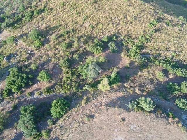 Terreno in vendita a Carini, Sicilia
