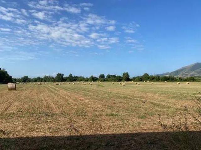Terreno in vendita a Carinola, Campania