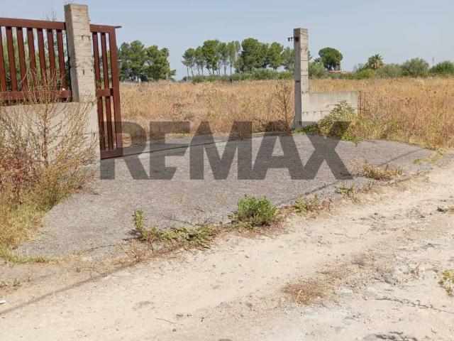 Terreno in vendita a Francofonte, Sicilia