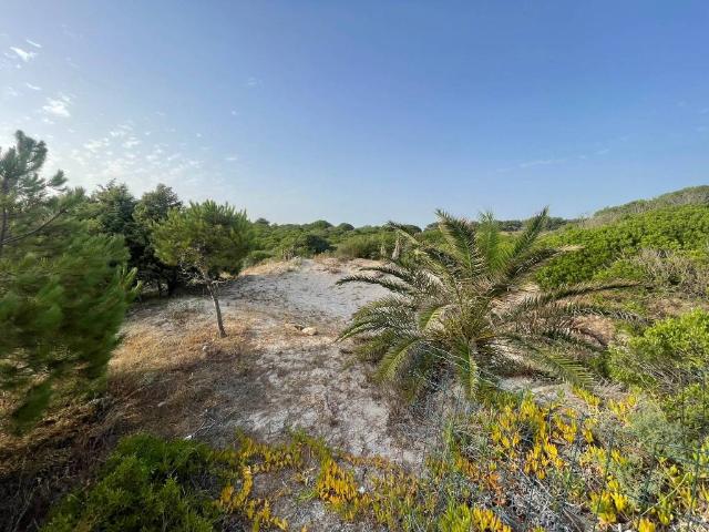Terreno in vendita a Carloforte, Sardigna/Sardegna