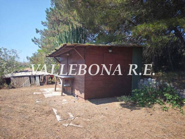 Terreno in vendita a Carloforte, Sardigna/Sardegna