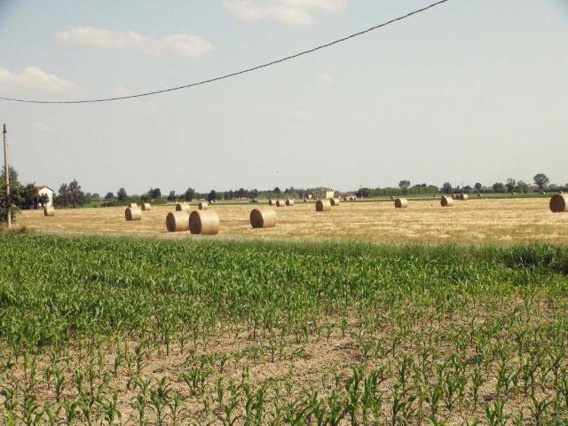 Terreno in vendita a Piemonte, Torino