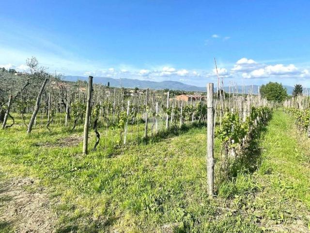 Terreno in vendita a Carmignano, Seano