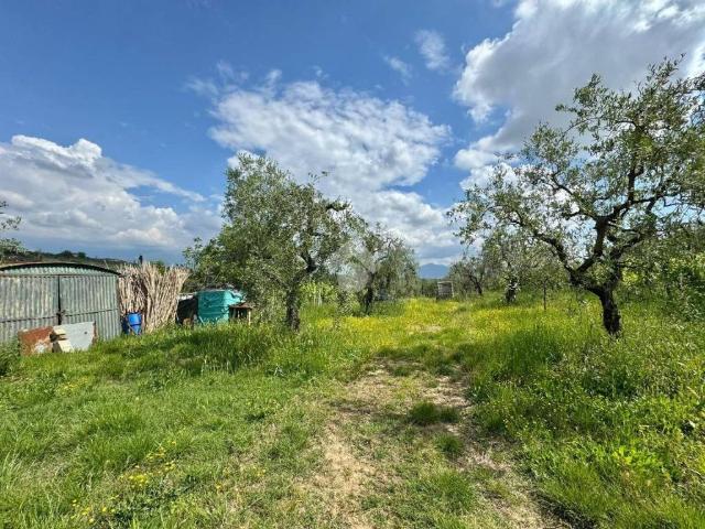 Terreno in vendita a Carmignano, Toscana