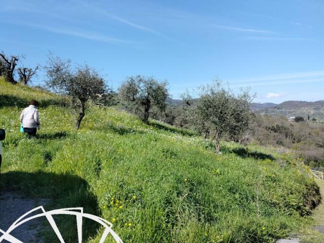 Terreno in vendita a La Vergine, Carmignano