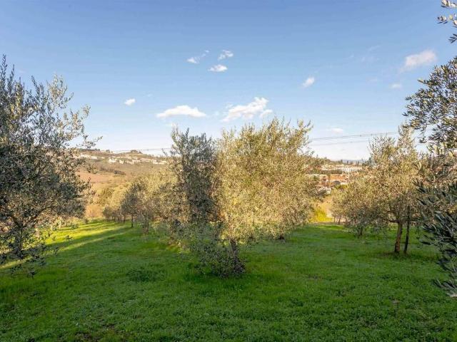 Terreno in vendita a La Serra, Carmignano