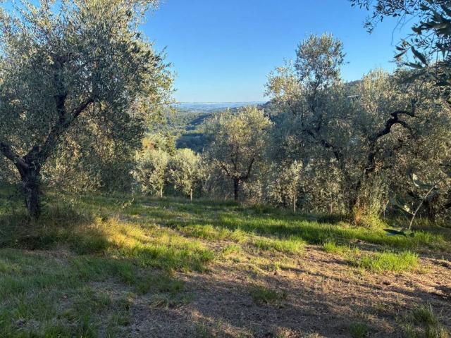 Terreno in vendita a Santa Cristina a Mezzana, Carmignano