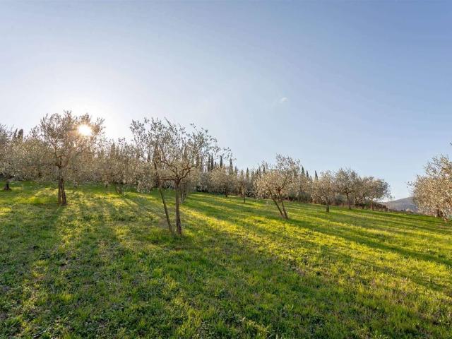 Terreno in vendita a Carmignano, La Serra
