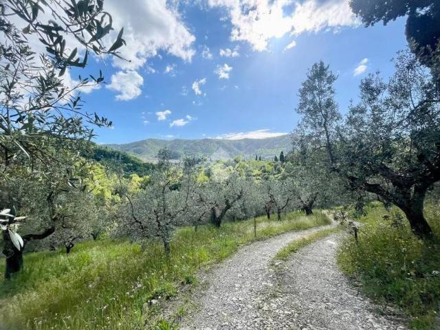 Terreno in vendita a Carmignano, Bacchereto
