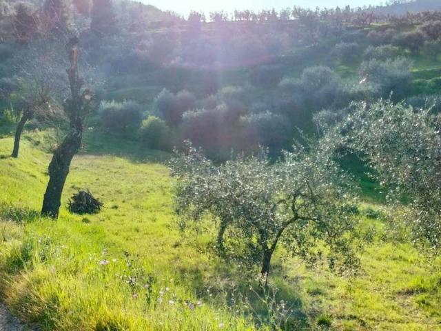 Terreno in vendita a Carmignano, Spazzavento