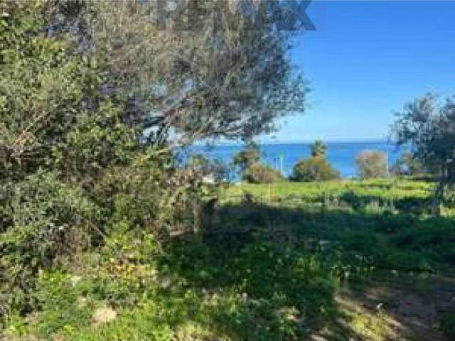 Terreno in vendita a Caronia, Sicilia