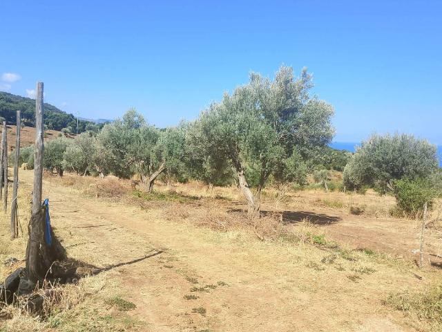 Terreno in vendita a Ricchiò, Caronia