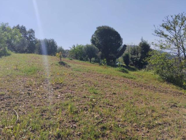 Terreno in vendita a Caronia, Sicilia