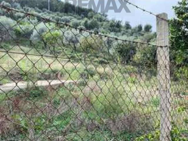 Terreno in vendita a Caronia, Sicilia