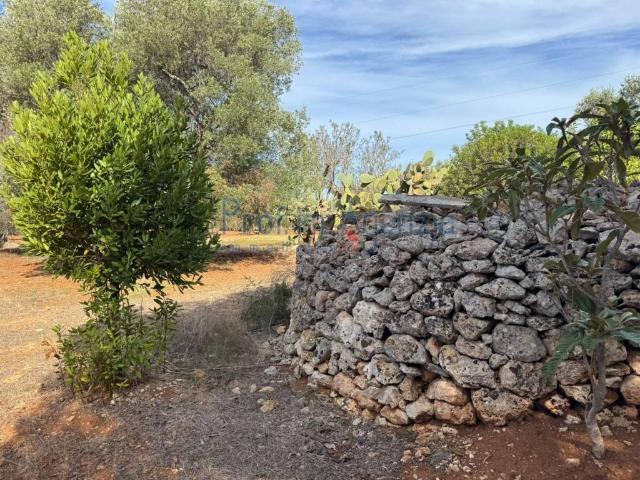 Terreno in vendita a Puglia, Brindisi