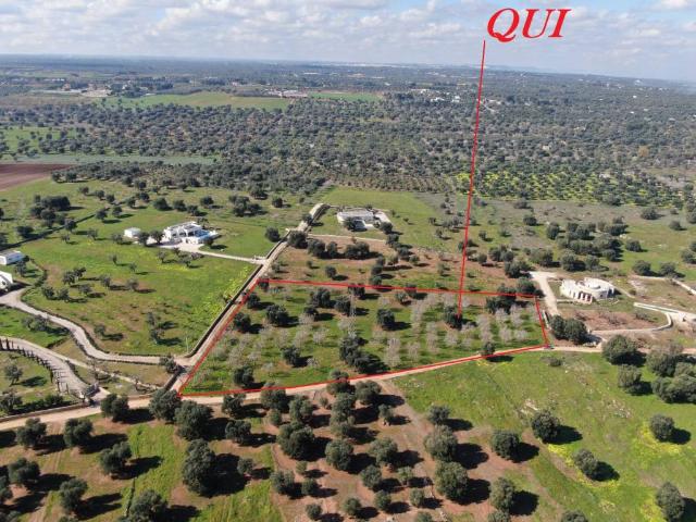 Terreno in vendita a Puglia, Brindisi