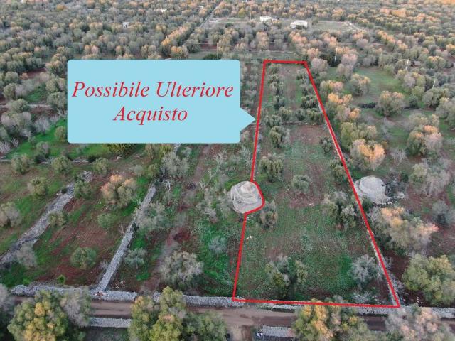 Terreno in vendita a Puglia, Brindisi