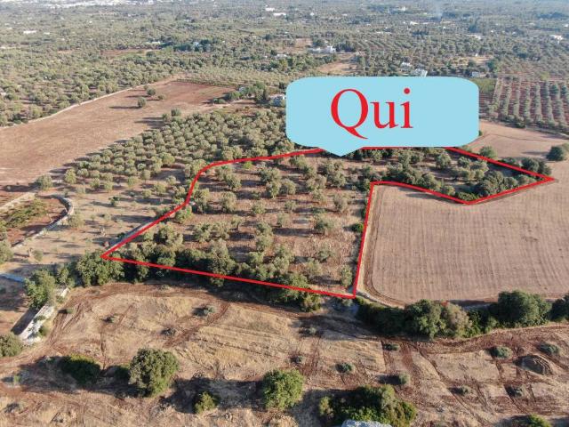 Terreno in vendita a Puglia, Brindisi