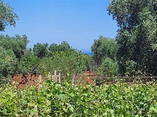Terreno in vendita a Puglia, Brindisi