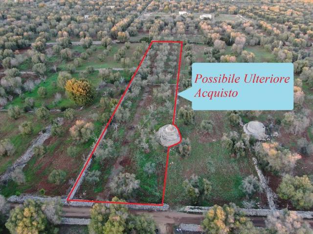 Terreno in vendita a Puglia, Brindisi