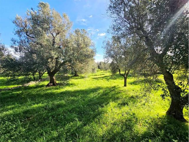 Terreno in vendita a Contrada Spierti, Puglia