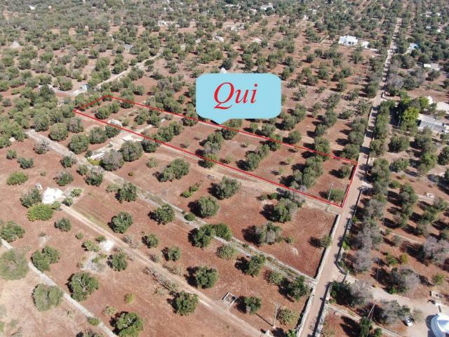 Terreno in vendita a Puglia, Brindisi