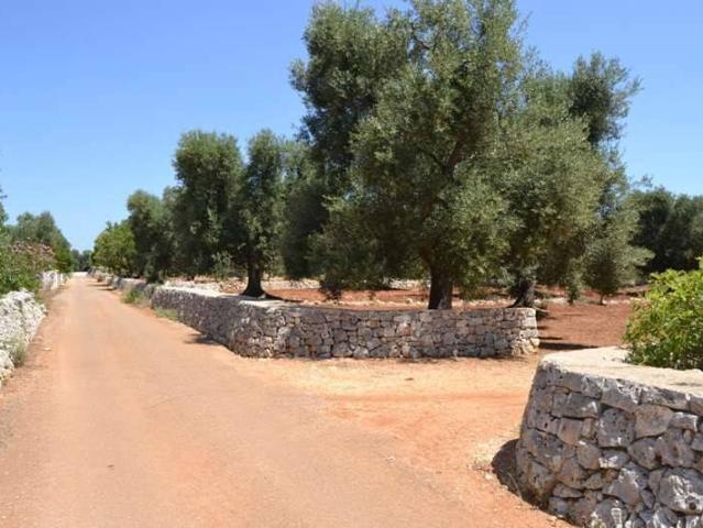 Terreno in vendita a Contrada Spierti, Puglia