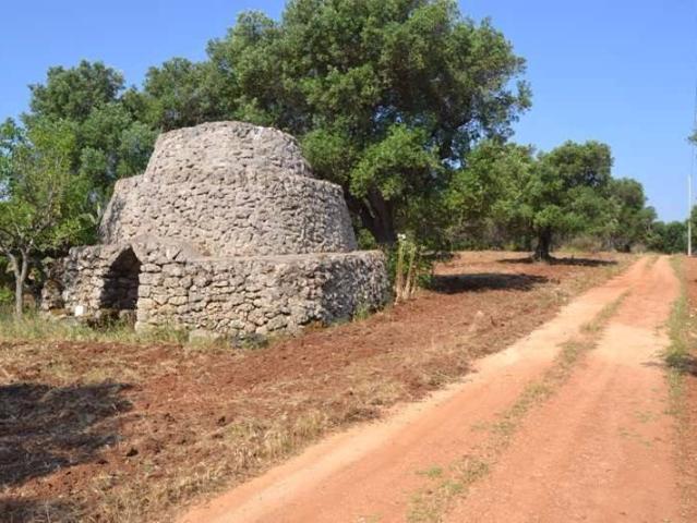 Terreno in vendita a Puglia, Brindisi