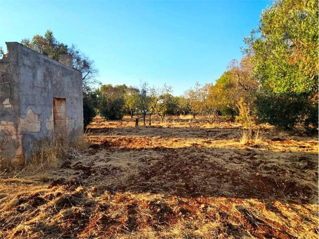 Terreno in vendita a Contrada Spierti, Puglia