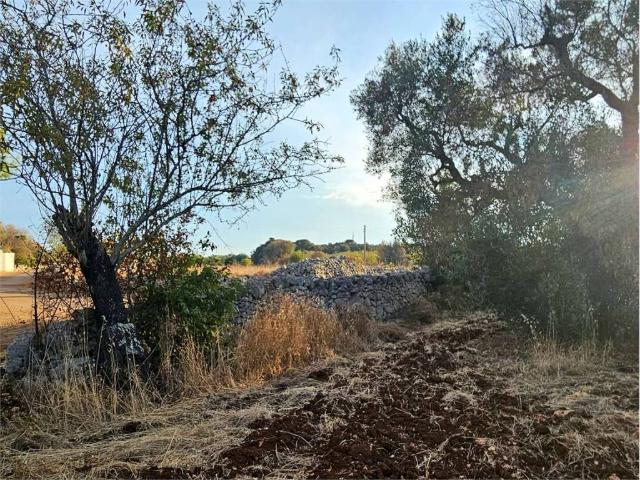 Terreno in vendita a Contrada Spierti, Puglia