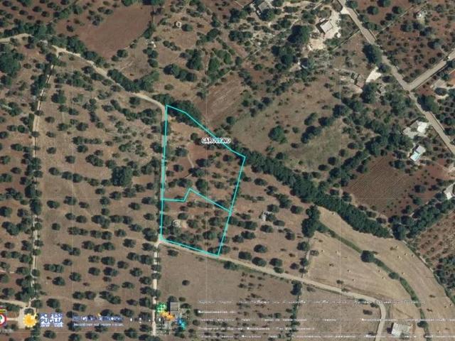 Terreno in vendita a Puglia, Brindisi
